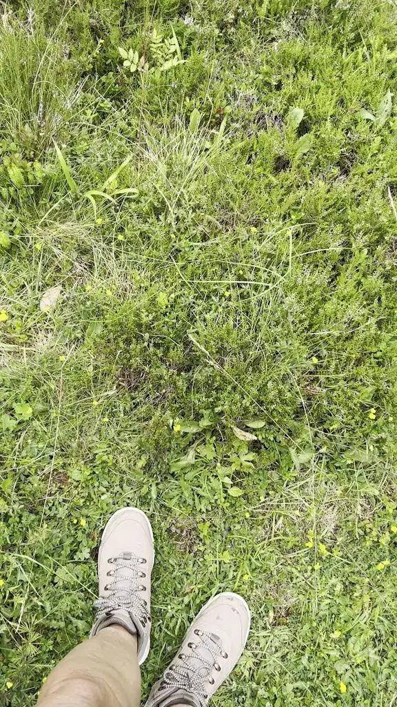 Hotel Zur Post_Untertauern_slider_image_2