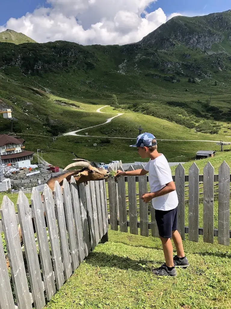 Malu K_Dikt´n Alm_Untertauern_review