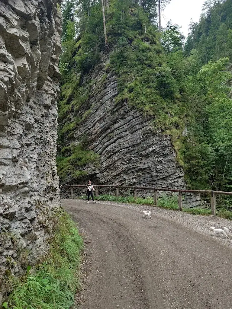 SIMPLE Wedding Dress_Hotel Friedlwirt - Kraftplatz Natur_Unken_review