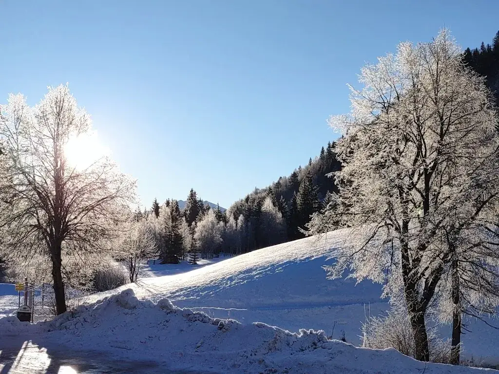 Siegrid_Alpengasthof Almrose Familie Kals_Unken_review