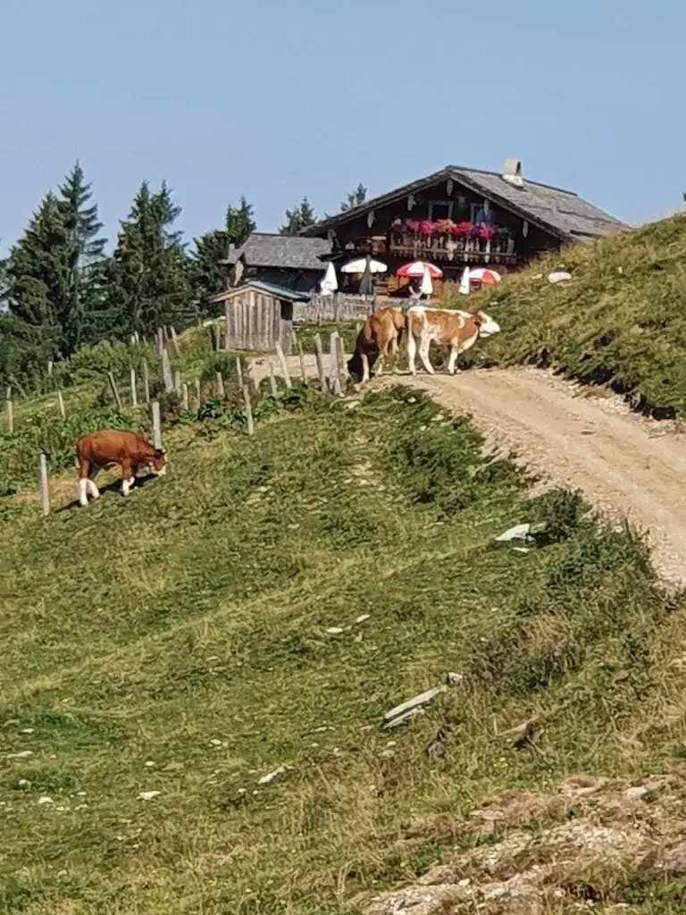 Regina Neugebauer_Zillhütte_Vigaun_Bewertung
