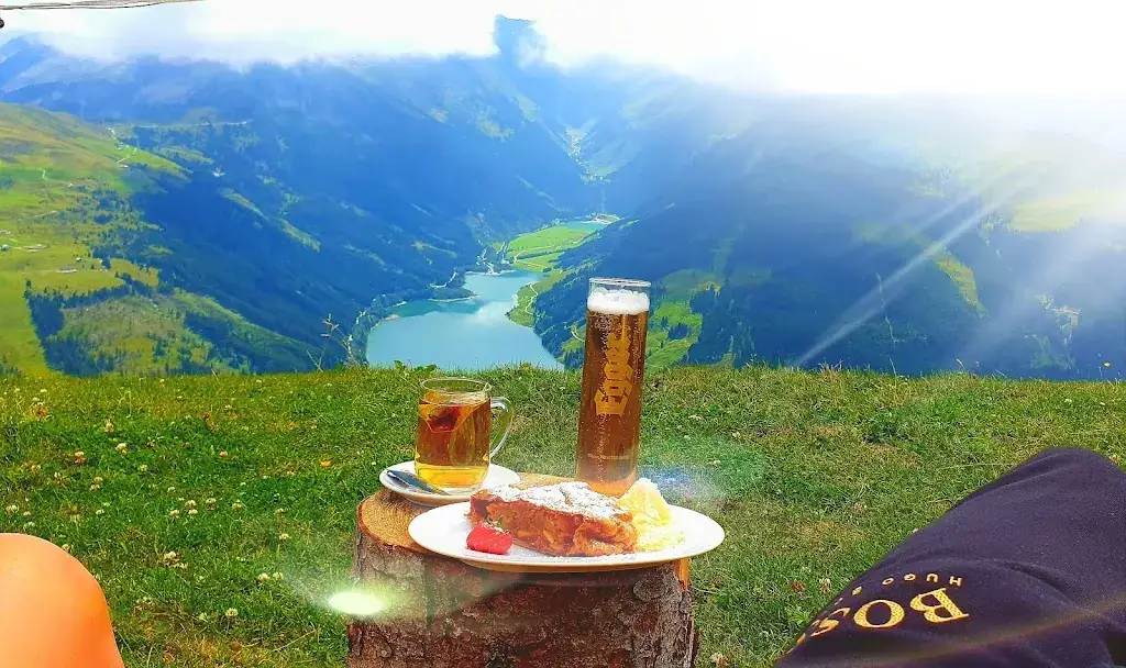 Menu_Panoramaalm Königsleitn_Wald im Pinzgau_image_6