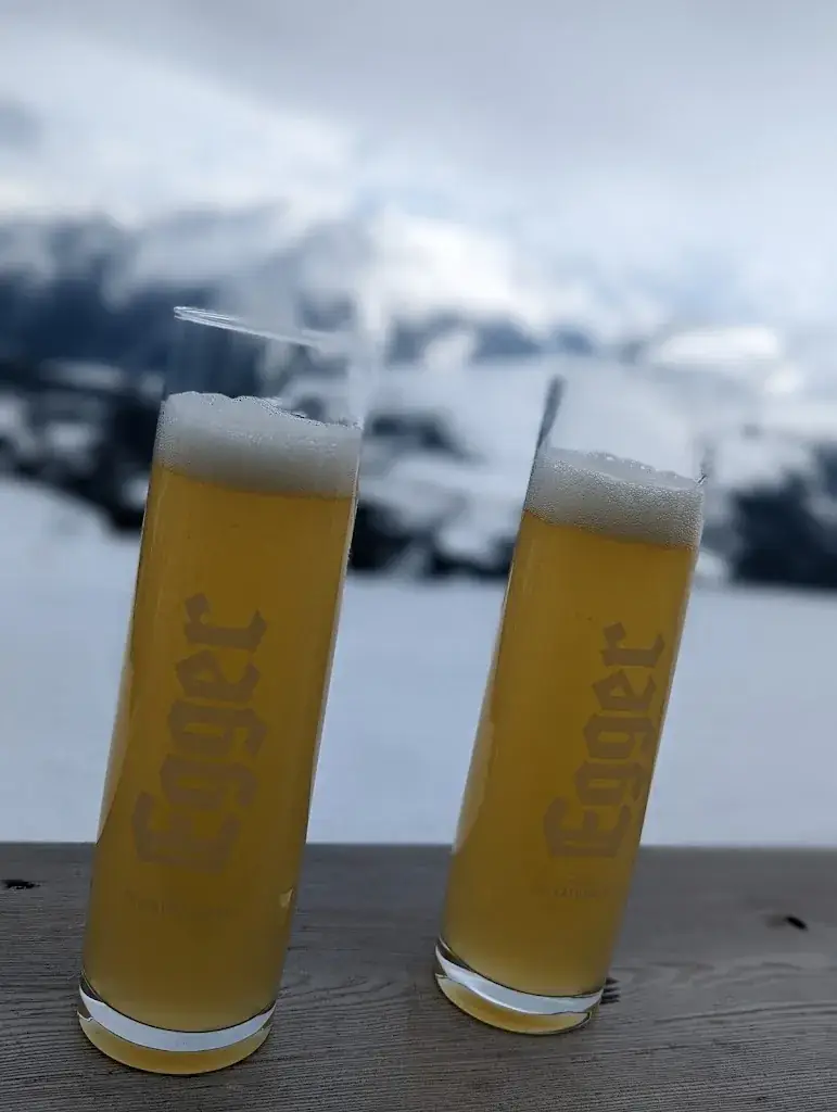 Menu_Panoramaalm Königsleitn_Wald im Pinzgau_image_9