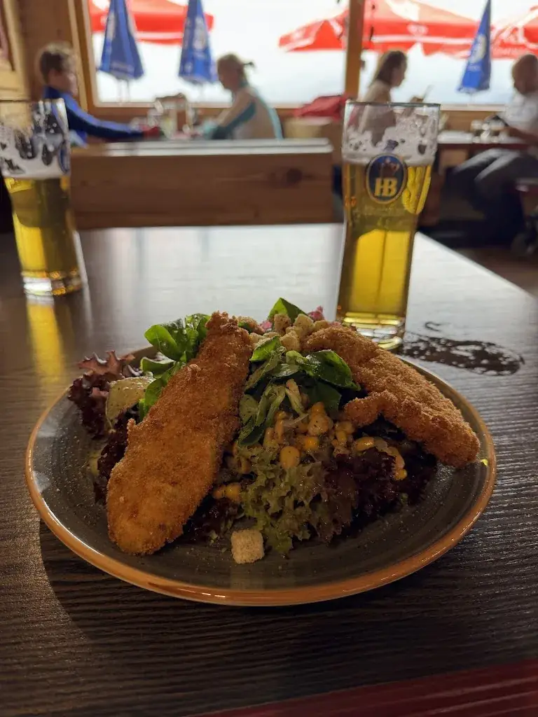 Jo Cheung_Panoramaalm Königsleitn_Wald im Pinzgau_review