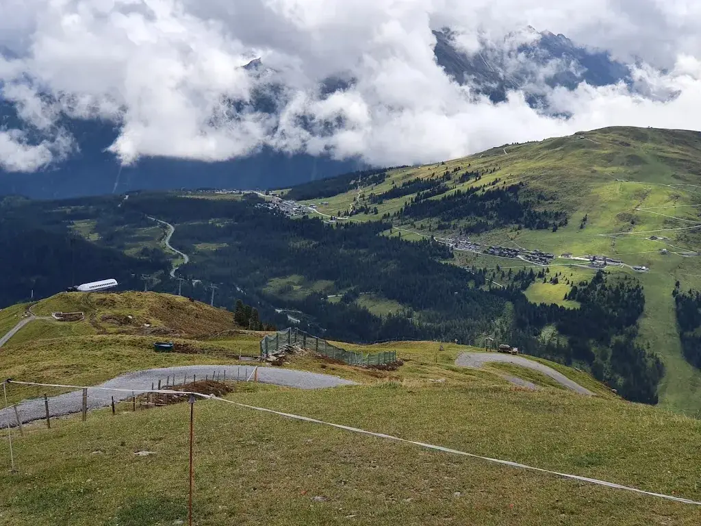 Balázs Moró_Panoramaalm Königsleitn_Wald im Pinzgau_review