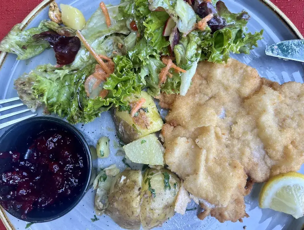 ShMyshka_Der Kamper_Admont_review