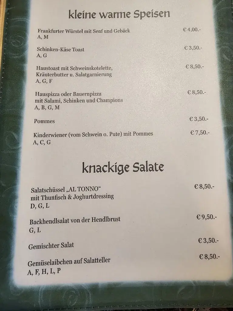 Menu_Karl Zechmann_Aigen im Ennstal_image_2