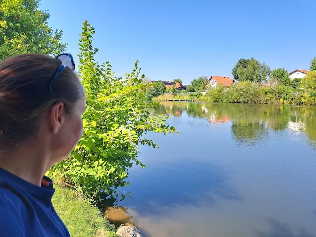 Dietmar Werner_Steckerlfisch Feldkirchen_Abtissendorf_recensione