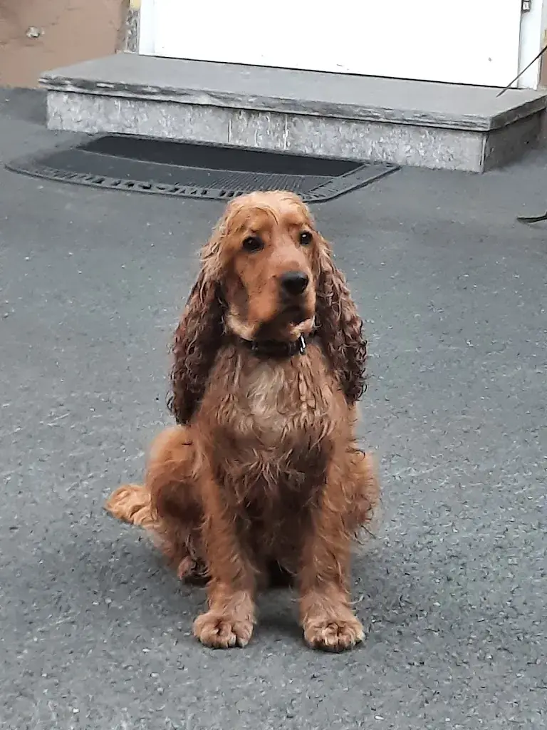 Gasthof Köppl_Aibl_slider_image_2