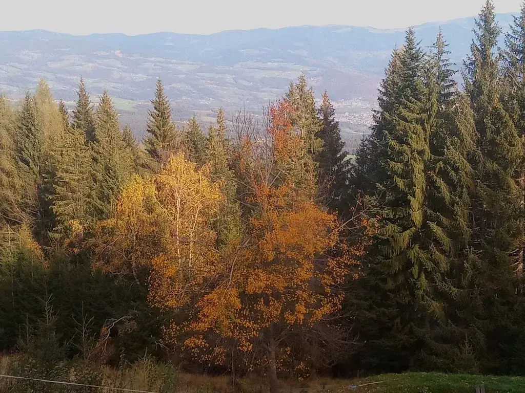 Gasthaus Aiblwirt_Aibl_slider_image_2