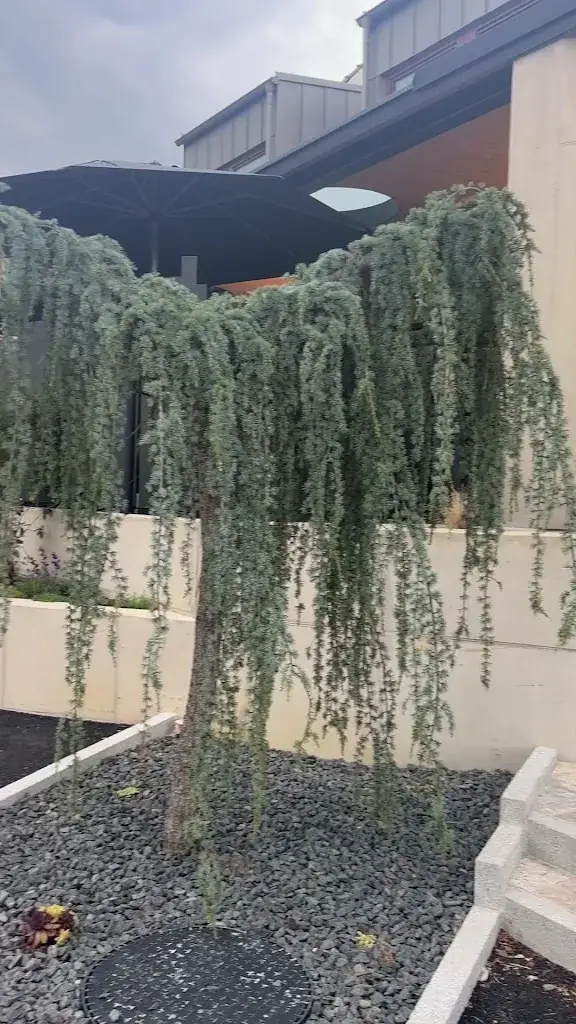 Das Ursprung_Aibl_slider_image_2