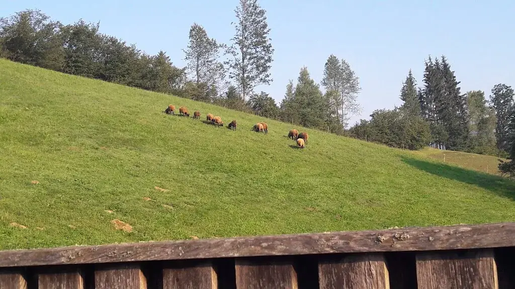 Tádé Mondeo_Landgasthof Sepplwirt - Familie Blumrich_Allerheiligen im Mürztal_recensione