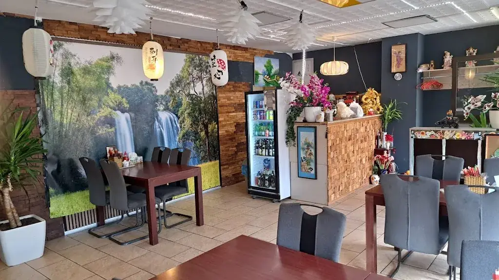 V Nguyen_Asia Long Chau_Arzberg_review