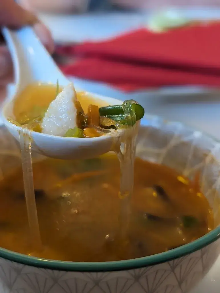 Menu_ASIA BISTRO SCHLOTTENHOF_Arzberg_immagine_8