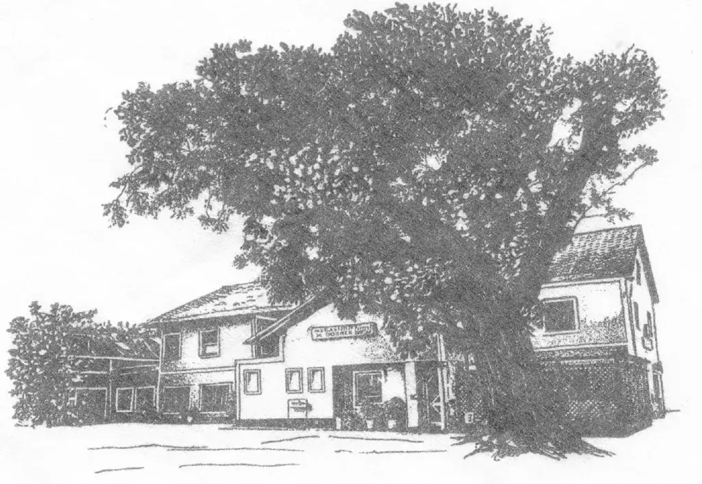 Gasthof Dorner_Attendorf_slider_image_2