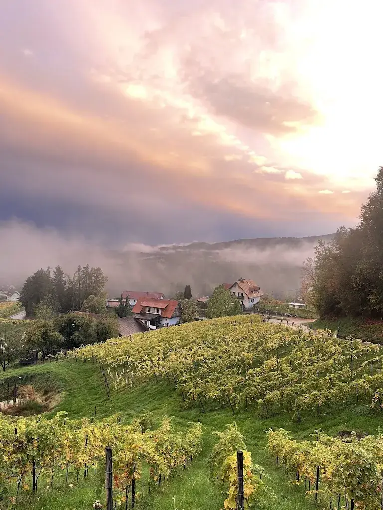 Carol Thallmann_HerrgottHö_Attendorf_review