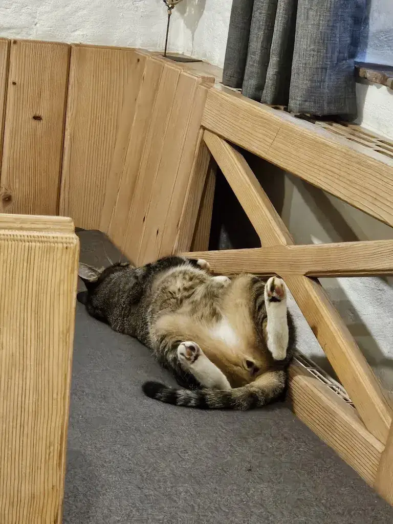 Florentina Lestaru_Bergstadl Pichler - Weinwirtshaus_Bad Blumau_review