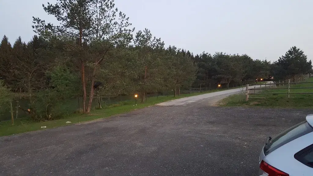 Przemysław Bieszczad_Waldschenke_Bad Waltersdorf_review