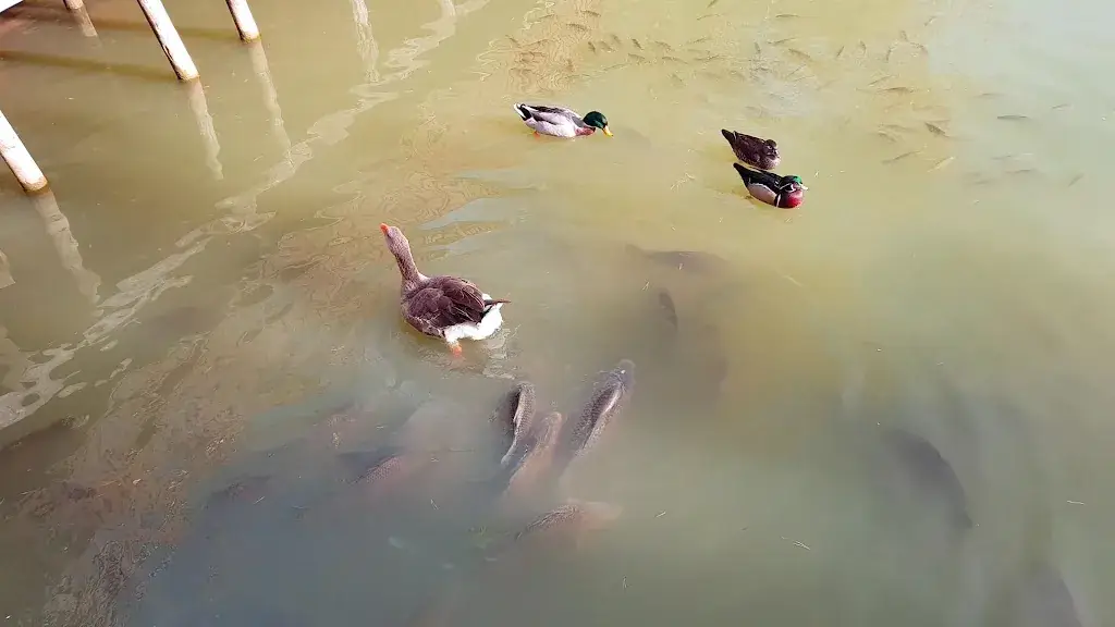 Waldschenke_Bad Waltersdorf_slider_image_2