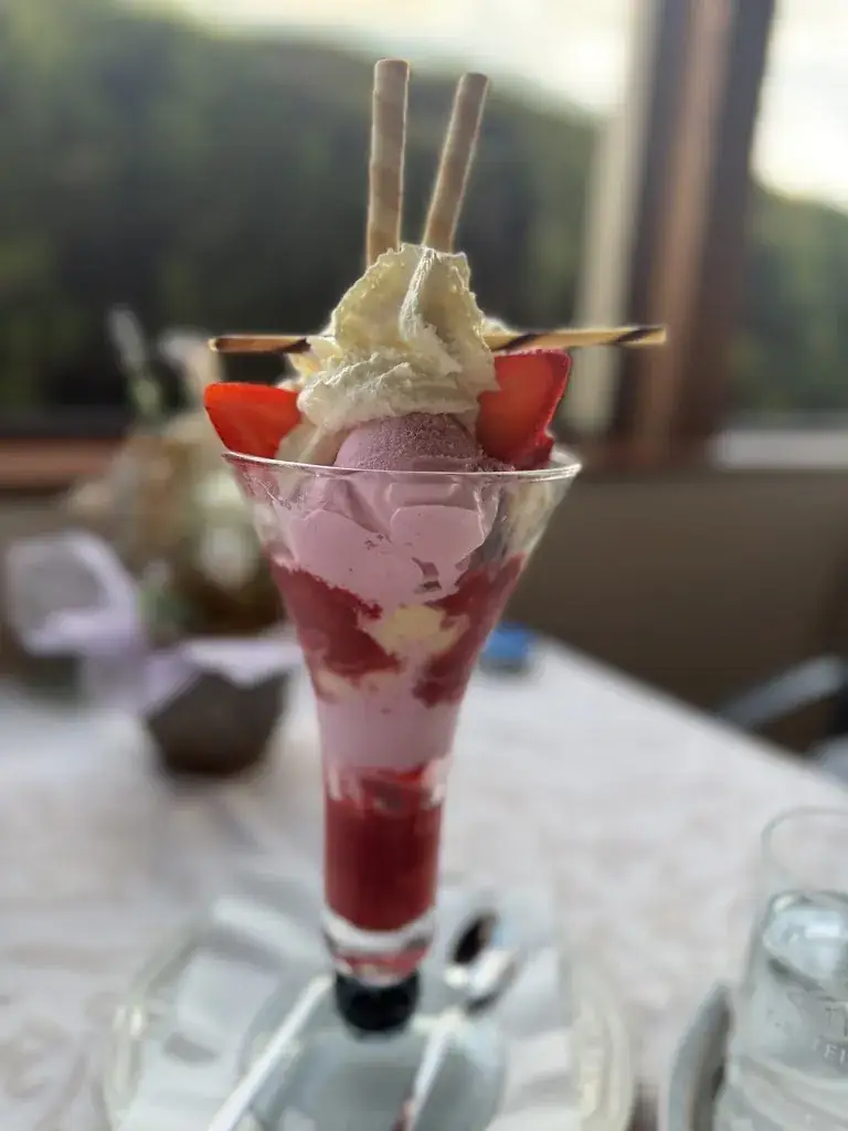 Liz Skrbkova_Treglwangerhof_Bretstein_recensione