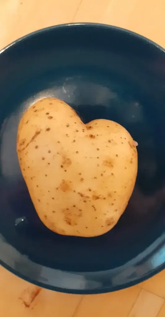 Menu_Dartklub Black Rats, Bachstube Bäumel_Birkfeld_image_8