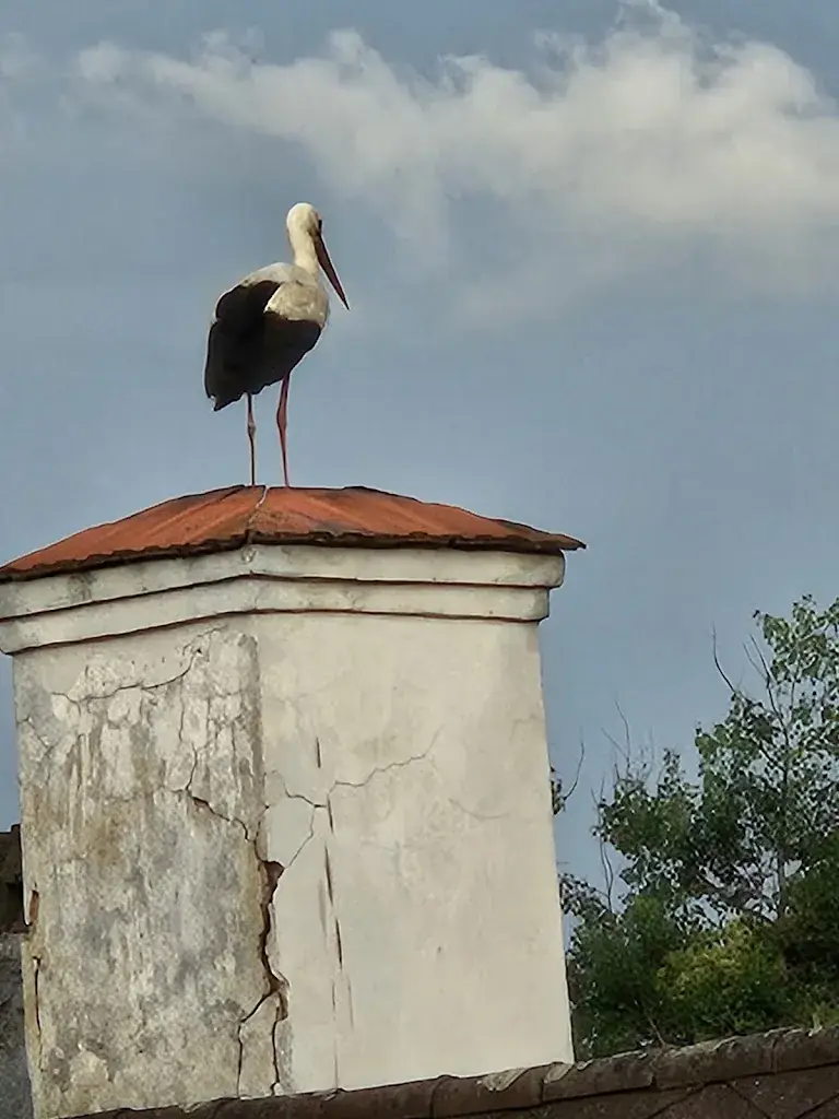 Gasthof Jeitler restaurant in Dechantskirchen