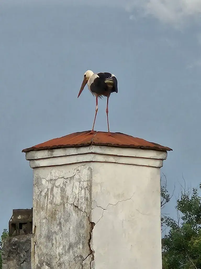 Gasthof Jeitler_Dechantskirchen_slider_image_3