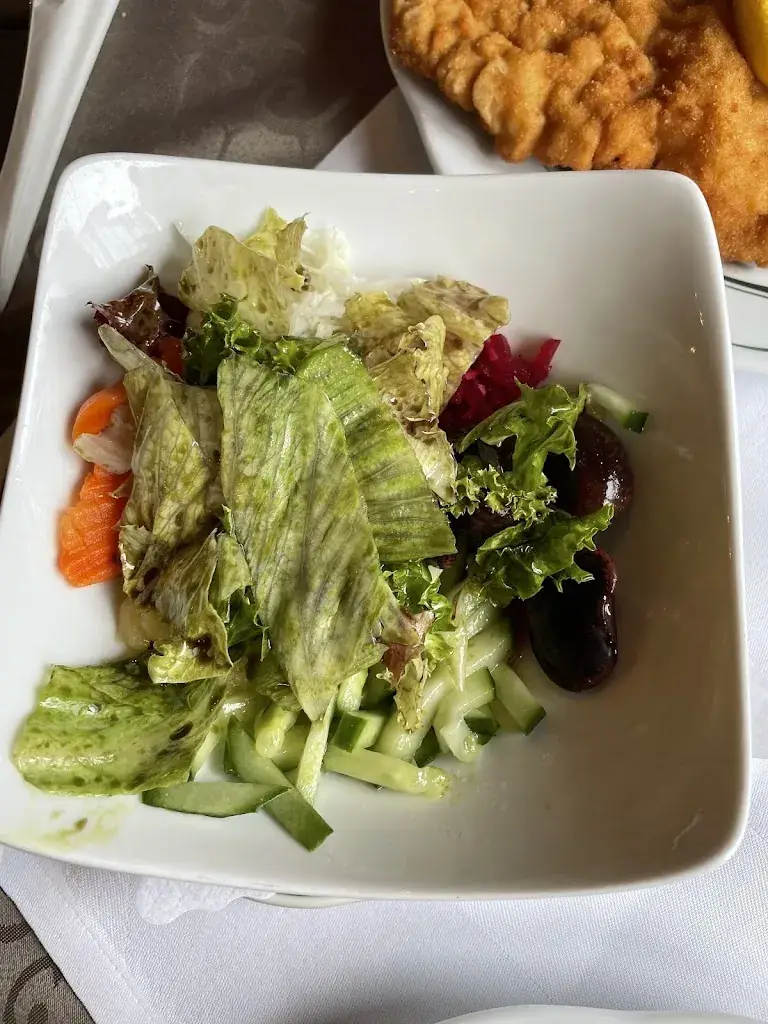 Tom Hofer_Gasthaus Pension Zum lustigen Steirer_Bruck an der Mur_review