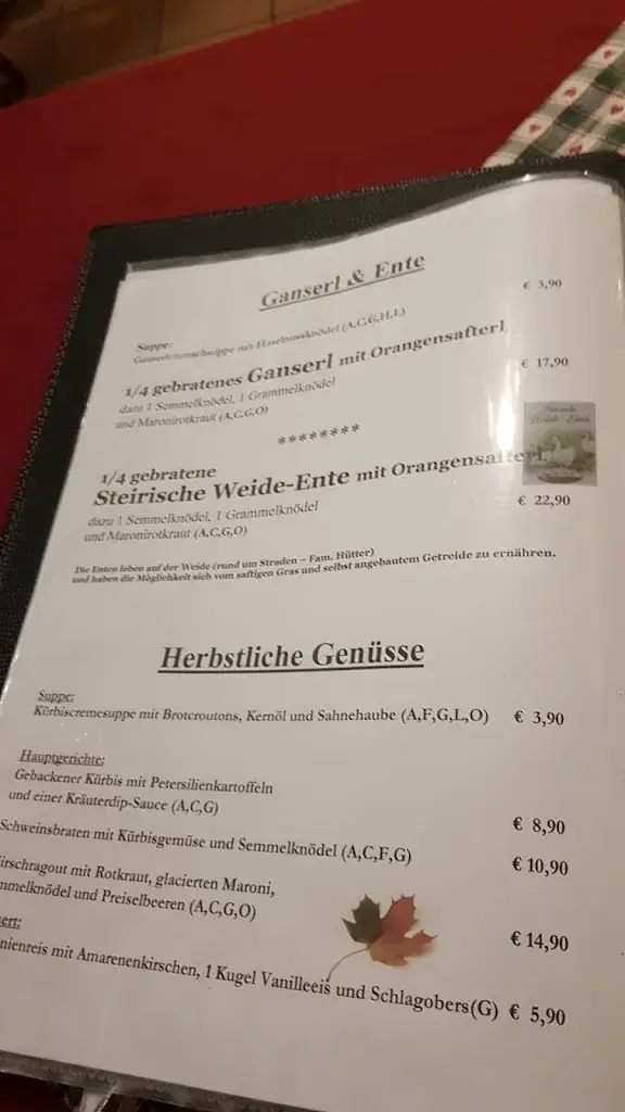 Menu_Restaurant Brunnenstadl_Bad Radkersburg_image_3