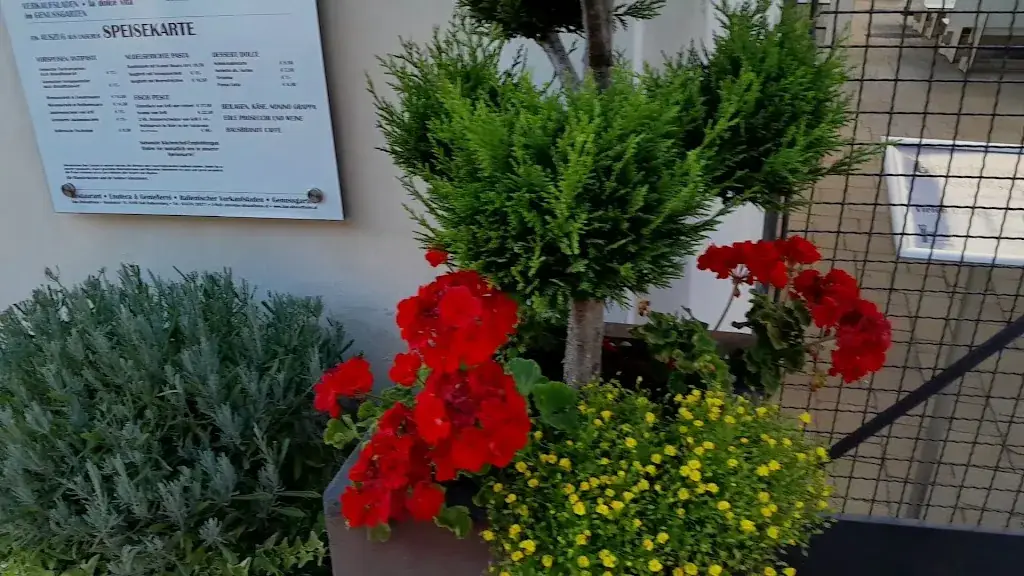 Das Altstadthaus - Enoteca, Verkaufsladen, Restaurant_Bad Radkersburg_slider_image_2