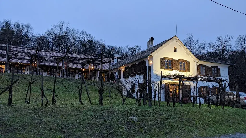 Gina Hara_Határmenti Vigadó_Rechnitz_review