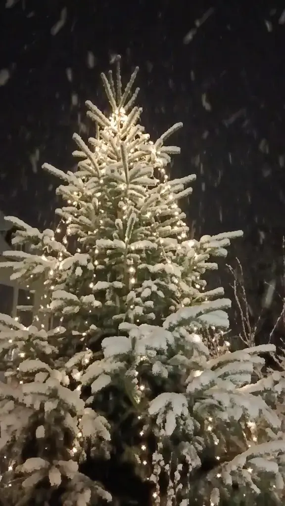 Radkersburger Hof - Gesundheits Hotel_Bad Radkersburg_slider_image_2