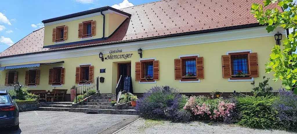 Predrag Stankovic_Gostilna Mencinger_Bad Radkersburg_review