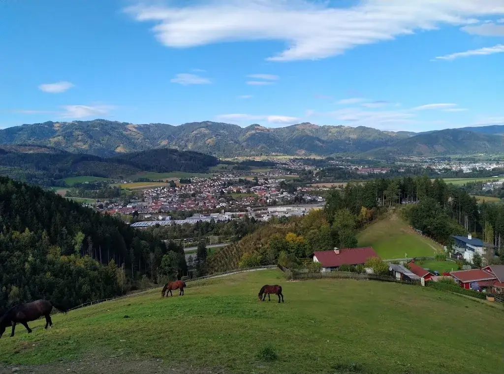 Gasthaus Pension Bergerbauer_Deuchendorf_slider_image_3