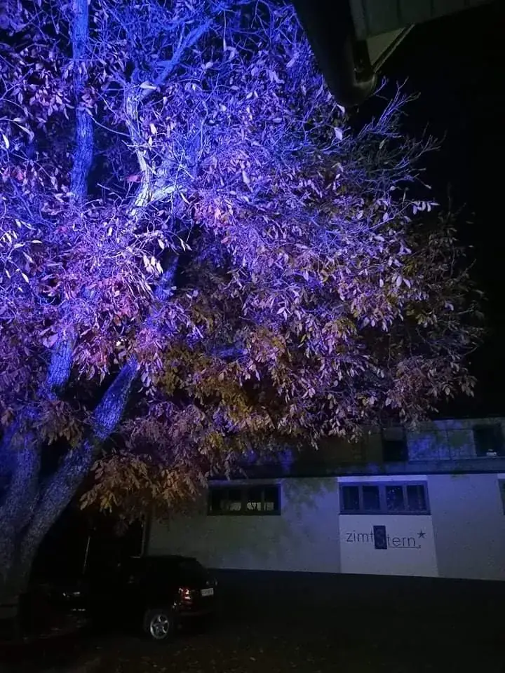 Rockcafe Backstage Bärnbach_Bärnbach_slider_image_2