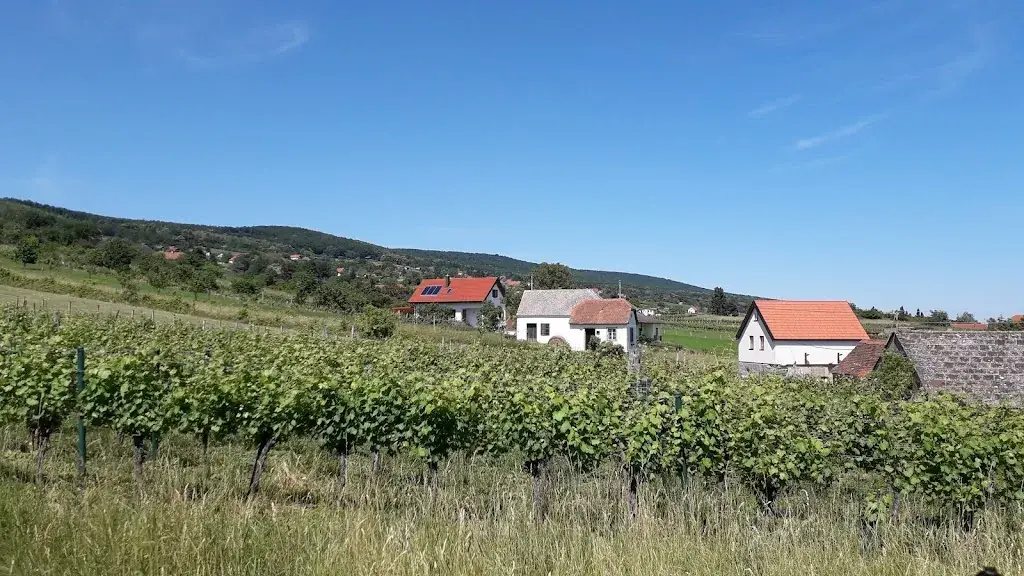 Buschenschank Kaiser und Bosits_Rechnitz_slider_image_3