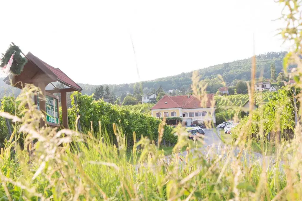 Buschenschank Arkadenhof Mandl_Rechnitz_slider_image_3