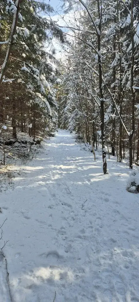 Alois Neumeister_Gasthaus Edelschrotter Hof_Edelschrott_avis