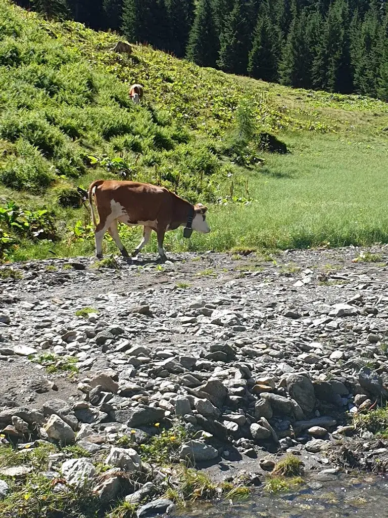 John Frost_Oxenalm_Donnersbach_review