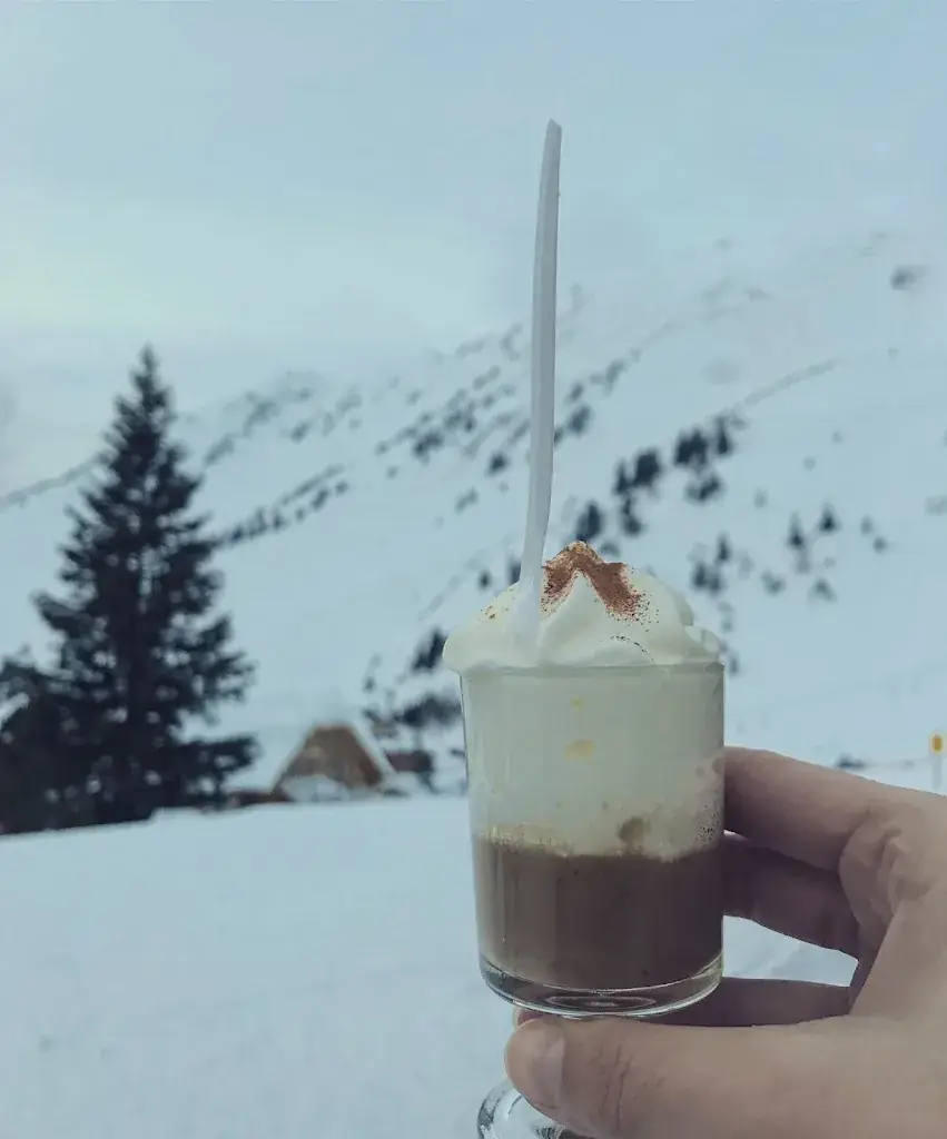 Maja Gajić_Dornbuschhütte_Donnersbach_review