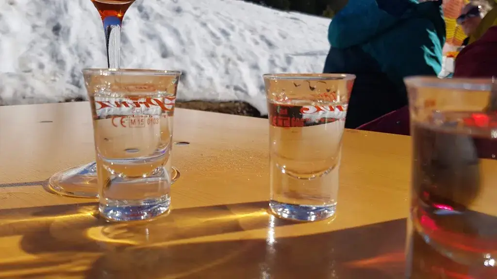 Boris Grabner_Dornbuschhütte_Donnersbach_review