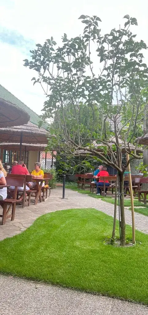 Ahmed Al-majed_Jagakölla_Podersdorf am See_recensione