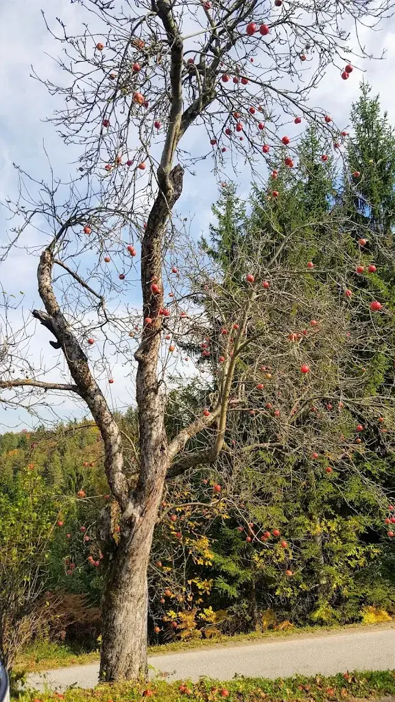 Gasthaus Weiß_Eibiswald_slider_image_3