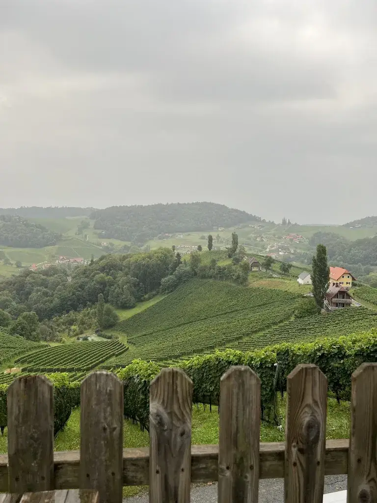 Marina Meller_Weingut Wirtshaus Weinhotel Wolfgang Maitz_Ehrenhausen_avis
