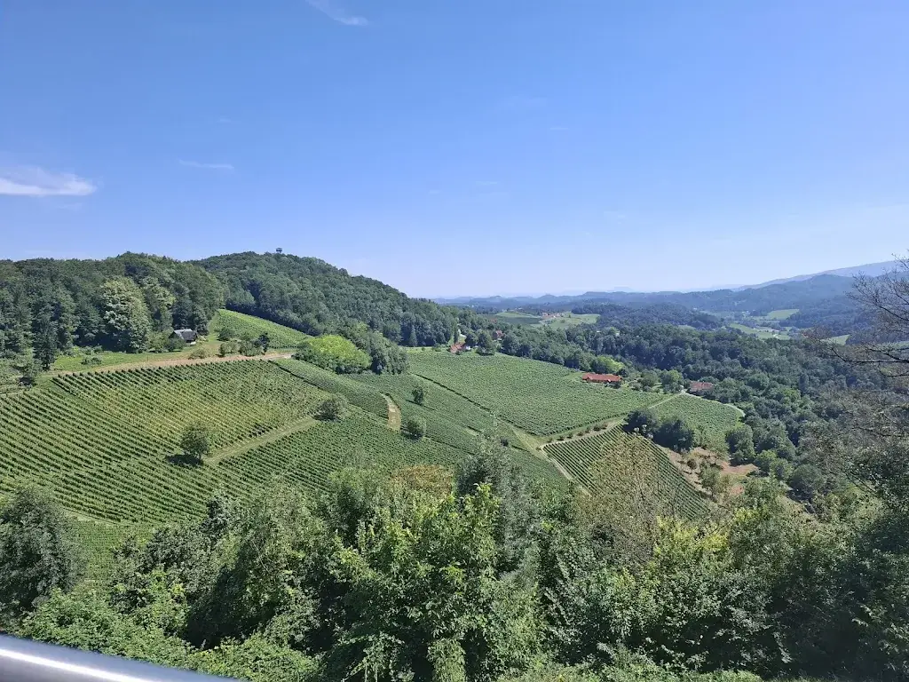 Udo Goebel_Magnothek_Ehrenhausen_review