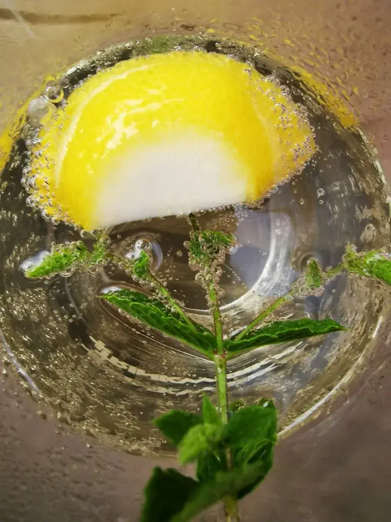 Menu_Stadtkeller Fehring Robert Gradwohl_Fehring_immagine_6