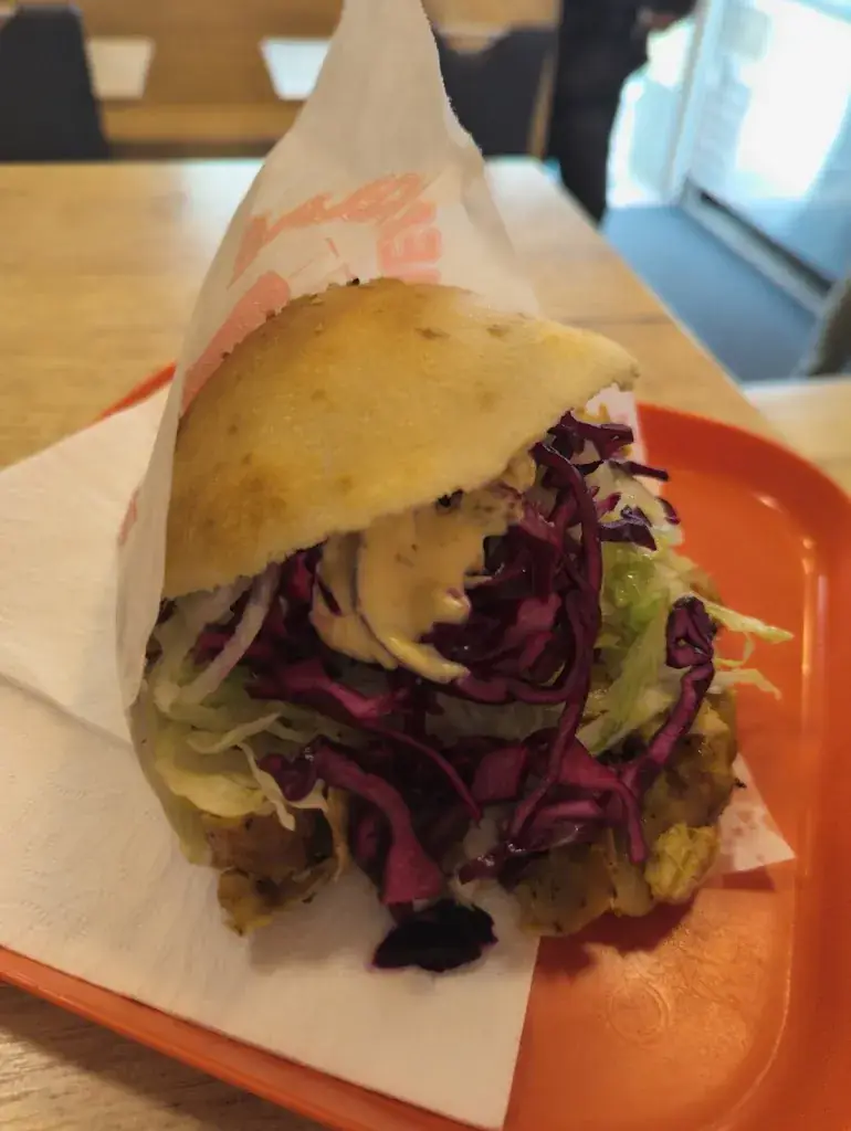 Prasanna Siddharthan_Montana Kebap_Donawitz_review