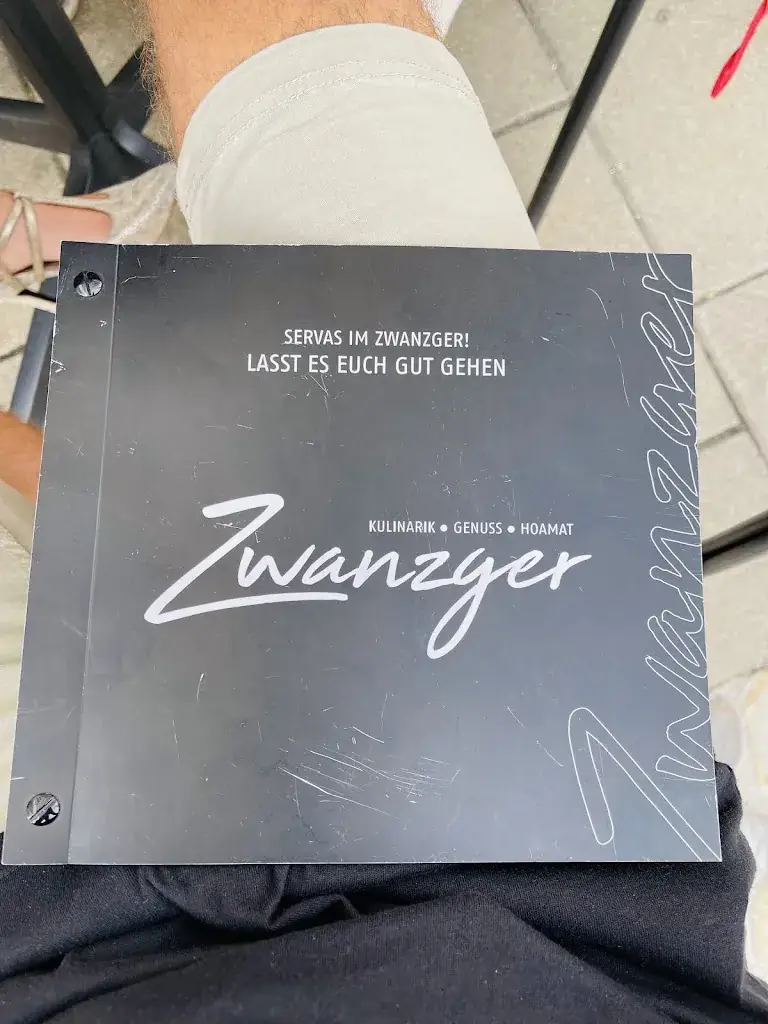 Harald Diethart_Zwanzger_Donawitz_review