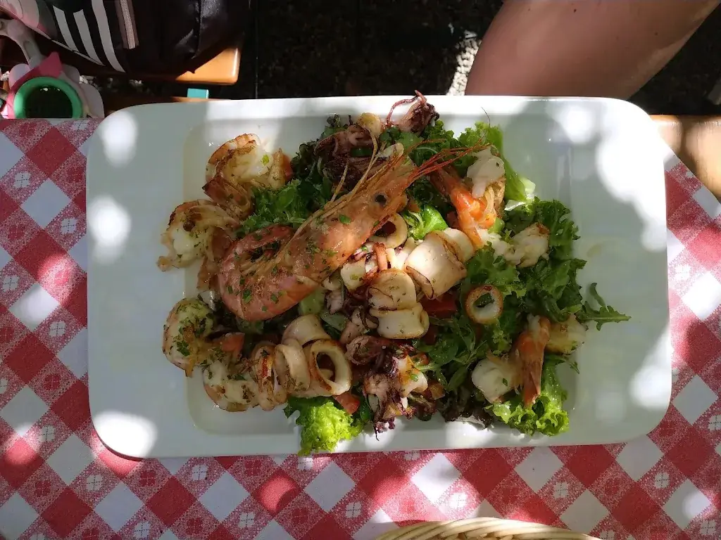 Aleksander Szczesniak_Italo Steirer_Donawitz_review