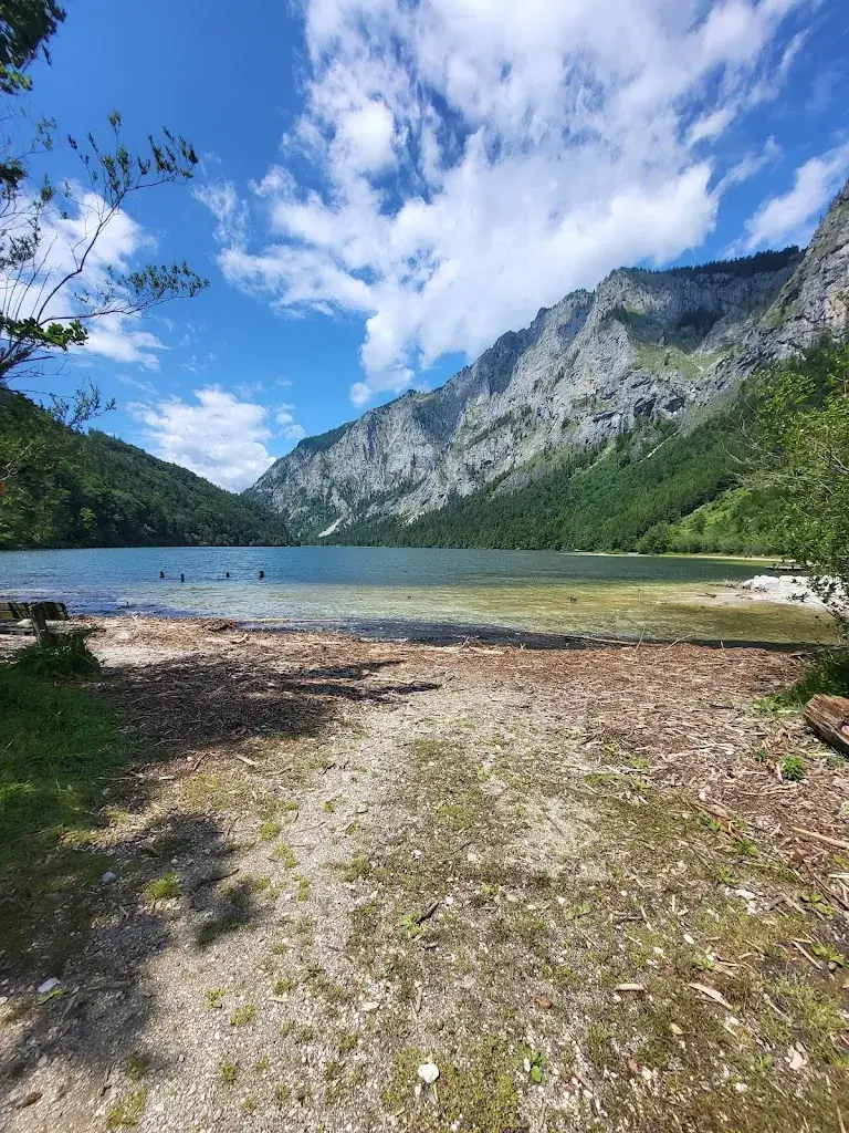 Daniel Hammerl_East Shore Shack_Eisenerz_review